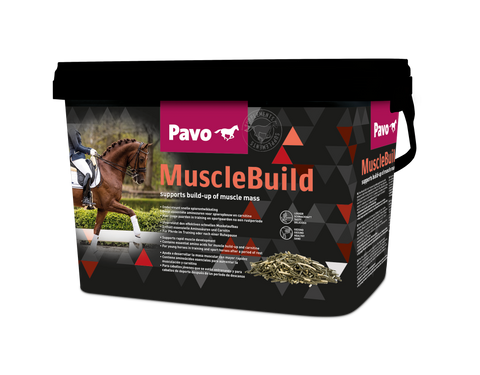 Pavo MuscleBuild