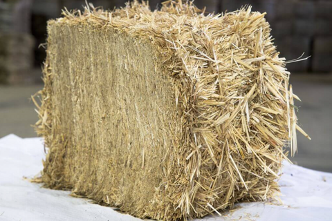Small Bales Wheat Straw