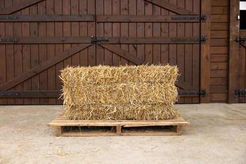 Small Bales Wheat Straw