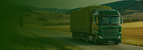 A Full Tuck of the best Quality Hay