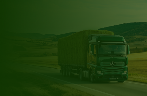 A Full Tuck of the best Quality Hay