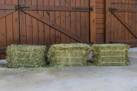 Pacas Pequeñas de Heno de Pradera