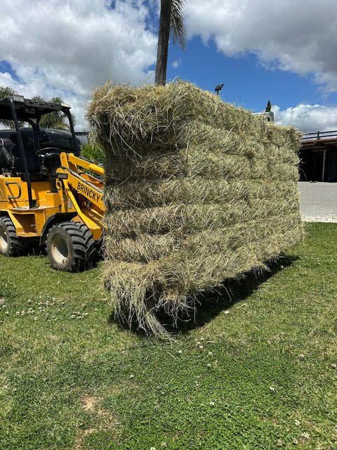 Big Bales Meadow Hay