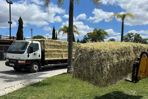 Big Bales Ryegrass Hay