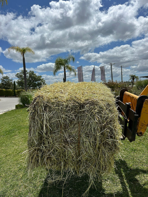 Big Bales Ryegrass Hay