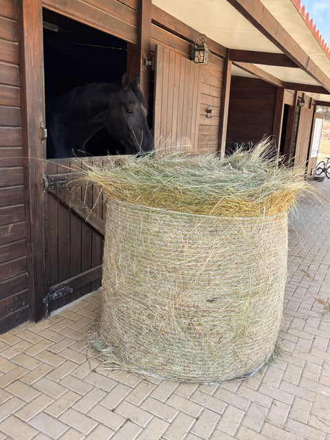 Round Bales Meadow Hay