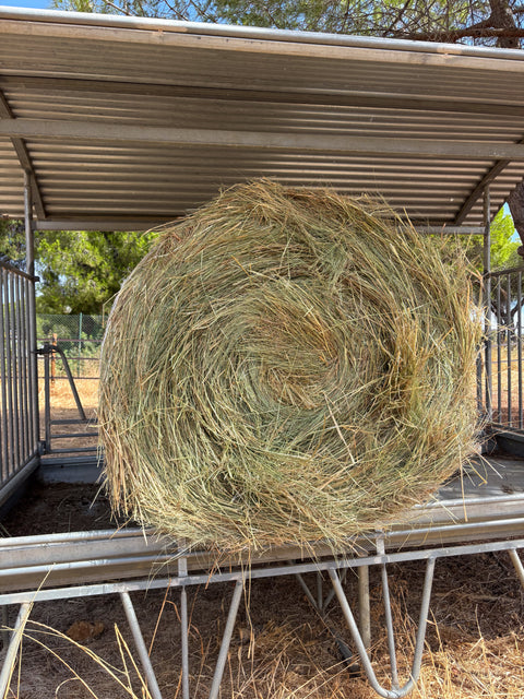 Round Bales Meadow Hay
