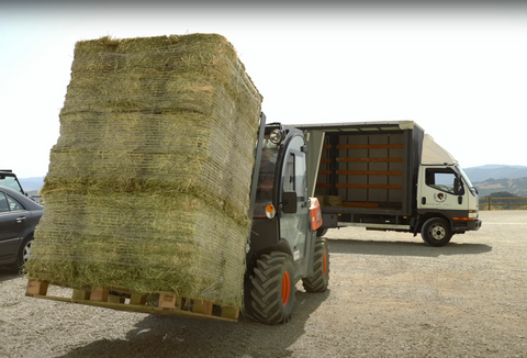Small Bales Wheat Straw
