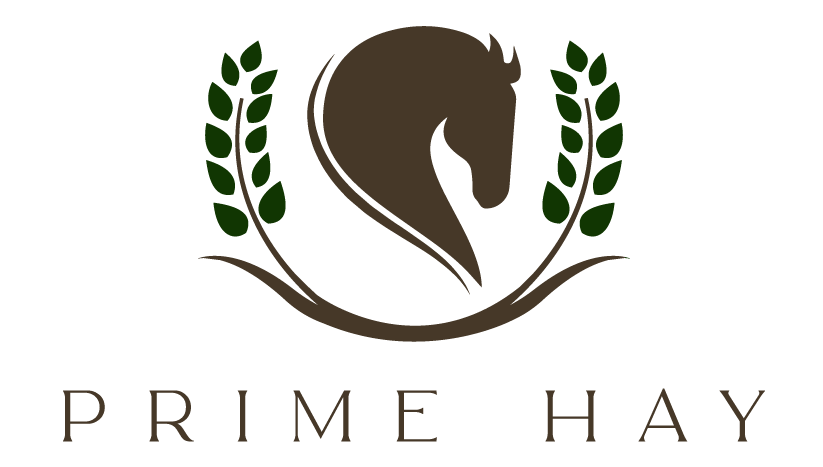 Prime Hay