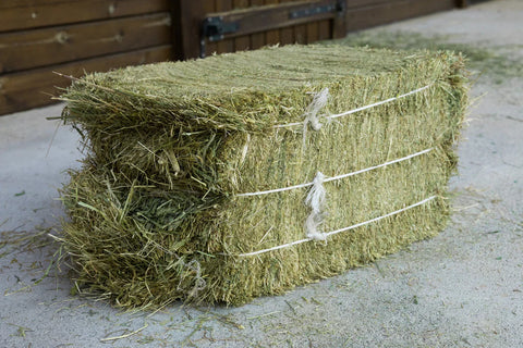 Small Bales Meadow Hay