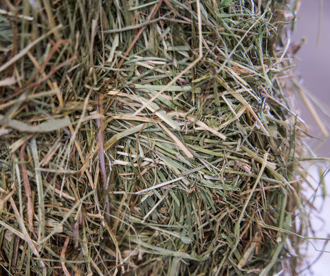 Pacas Pequeñas de Heno de Pradera