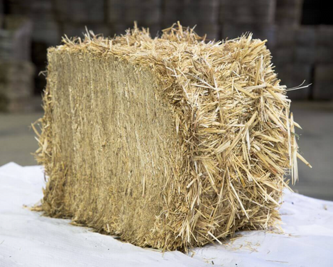 Paja de Trigo Extra Prensada de Francia (aprox. 24 kg)