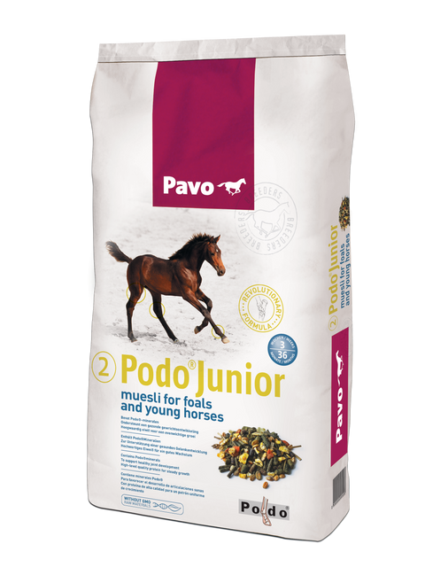 Pavo Podo Junior