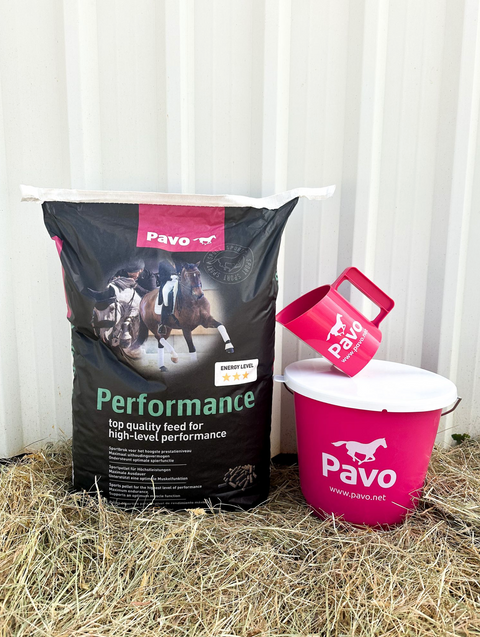 Pavo Performance