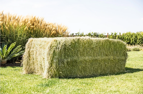 Pacas Grandes de Heno de Prado (aprox. 550 kg)