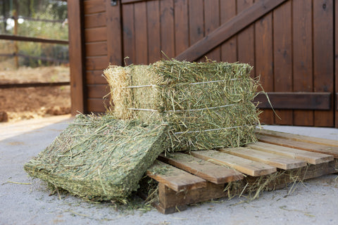 Alfalfa/Luzerna (aprox. 25 kg)