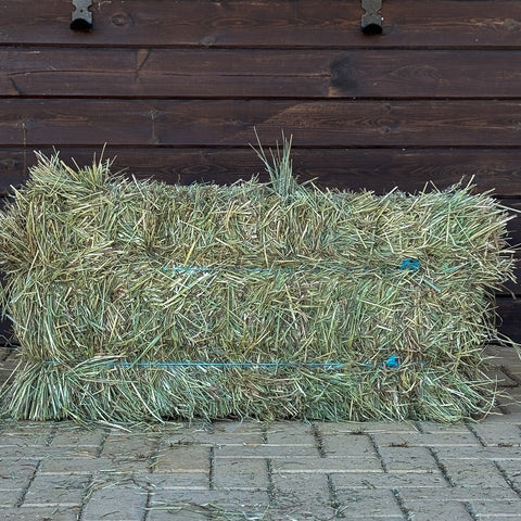 Small Bales Natural Ryegrass Mix