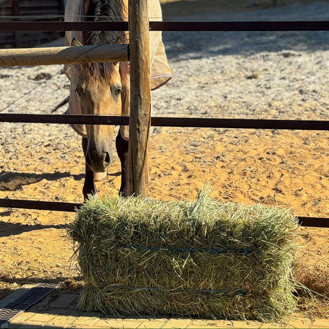 Small Bales Natural Ryegrass Mix