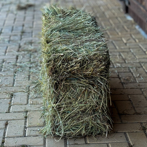 Small Bales Natural Ryegrass Mix