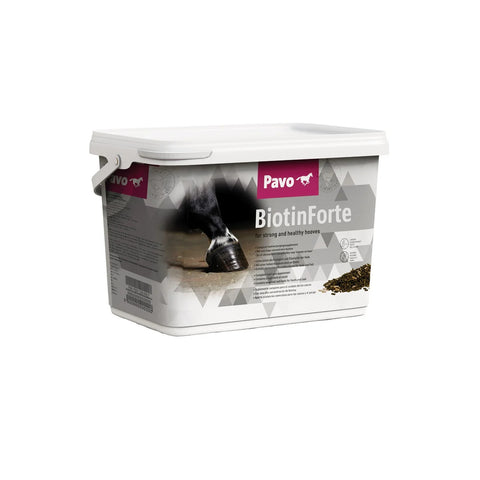 BiotinForte 3 kg