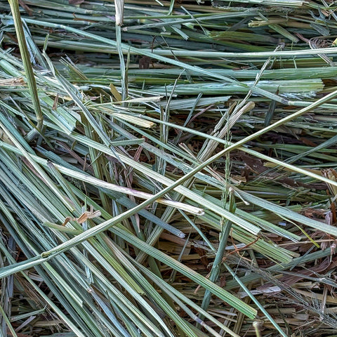 Small Bales Natural Ryegrass Mix