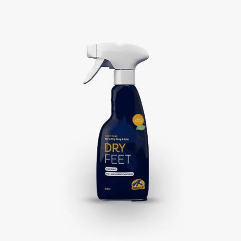 Dry Feet