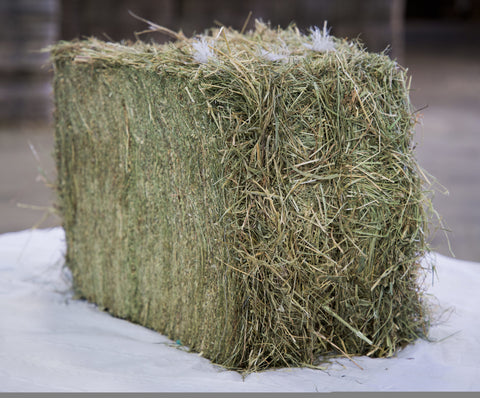 Pacas Pequeñas de Heno de Pradera