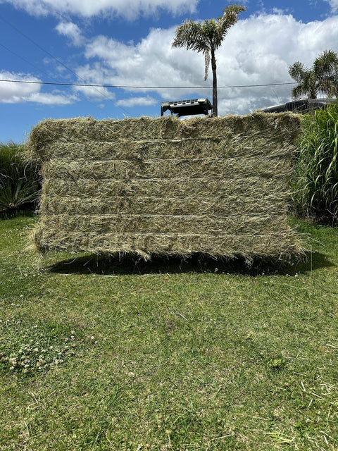 Big Bales Meadow Hay