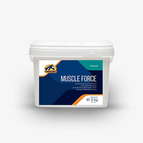 Muscle Force