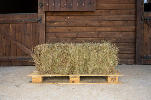 Heno de Ryegrass de Portugal (aprox. 20 kg)
