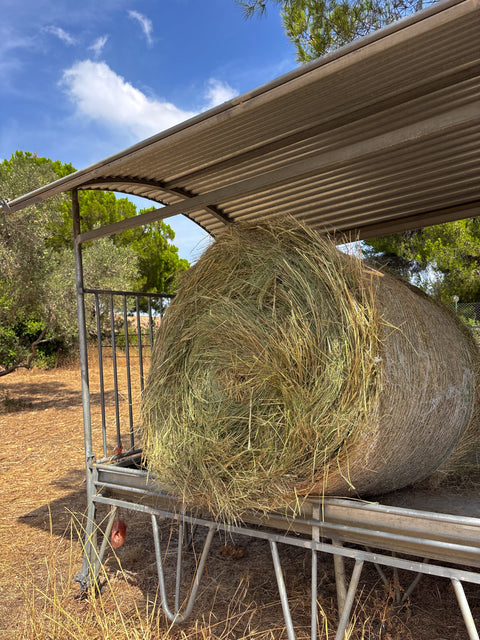 Round Bales Meadow Hay