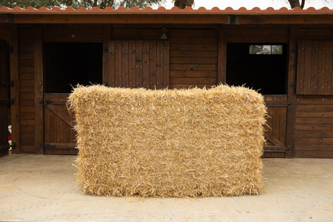 Pacas Grandes de Paja de Trigo (aprox. 500 kg)