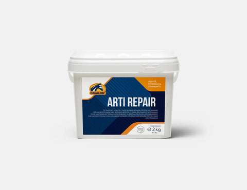Arti Repair