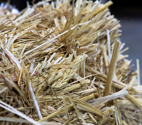 Small Bales Wheat Straw